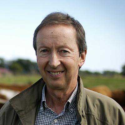 DDOS压力测试网页端